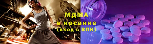 прущие грибы Рославль