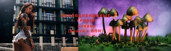 бошки Беломорск
